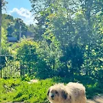 Dacha 127 Pensión 3*