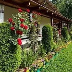 Dacha 127