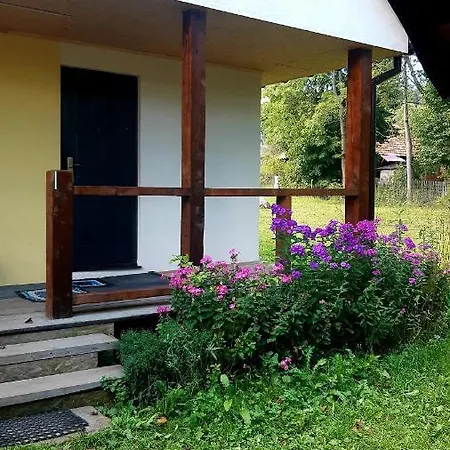 Dacha 127 בית הארחה פודובובץ