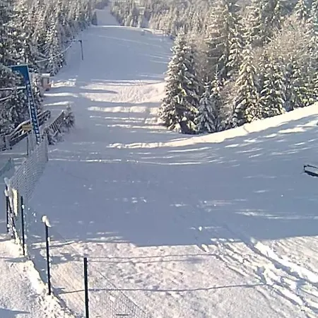 Dacha 127 בית הארחה פודובובץ