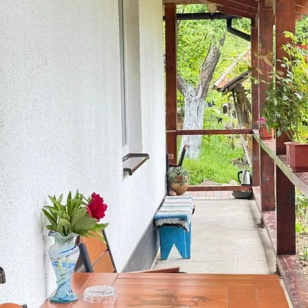 Dacha 127 בית הארחה