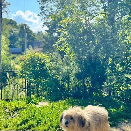 Dacha 127 Casa de hóspedes *