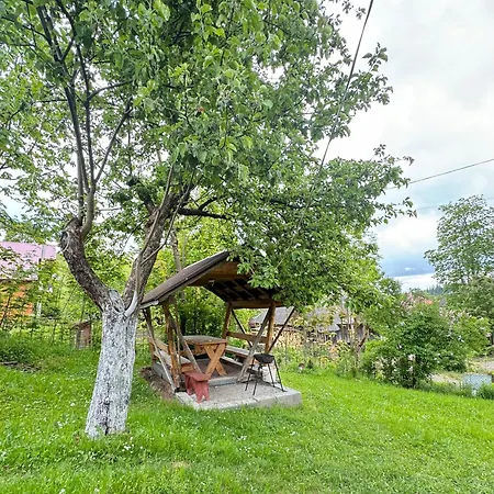 Dacha 127 Guest house 3*