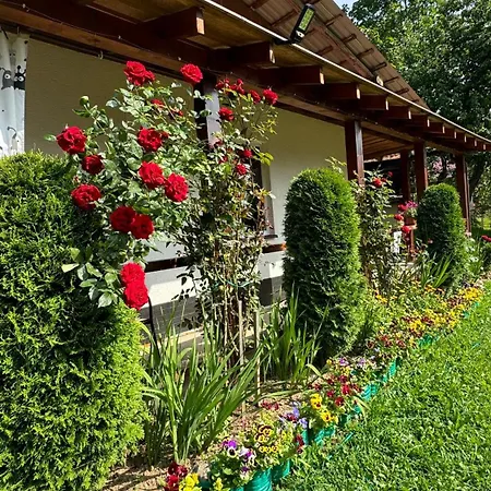 Dacha 127