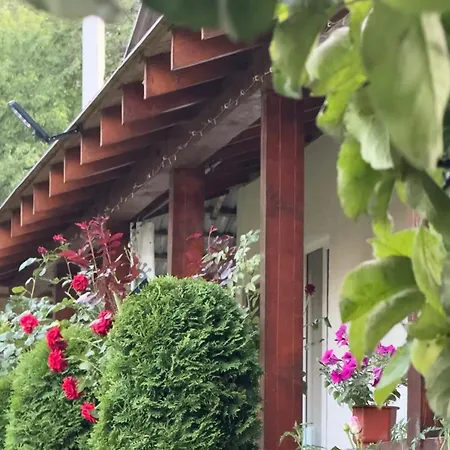 Dacha 127 בית הארחה פודובובץ