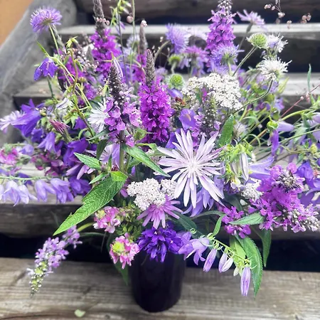 Dacha 127 * Podobovets