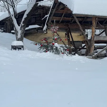 Dacha 127