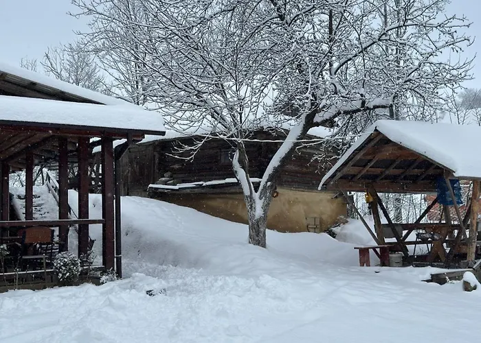 Guest house Dacha 127 Podobovets