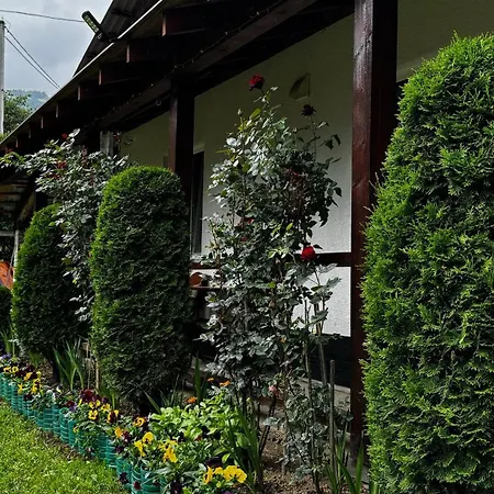 Dacha 127