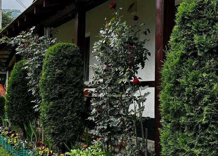 Dacha 127