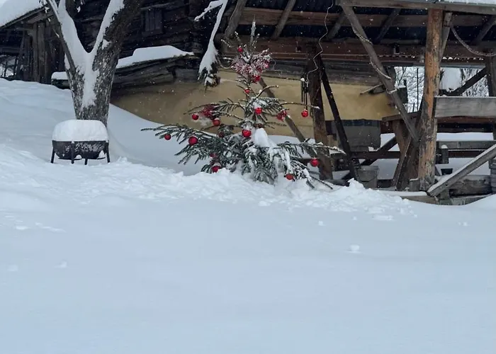 Dacha 127